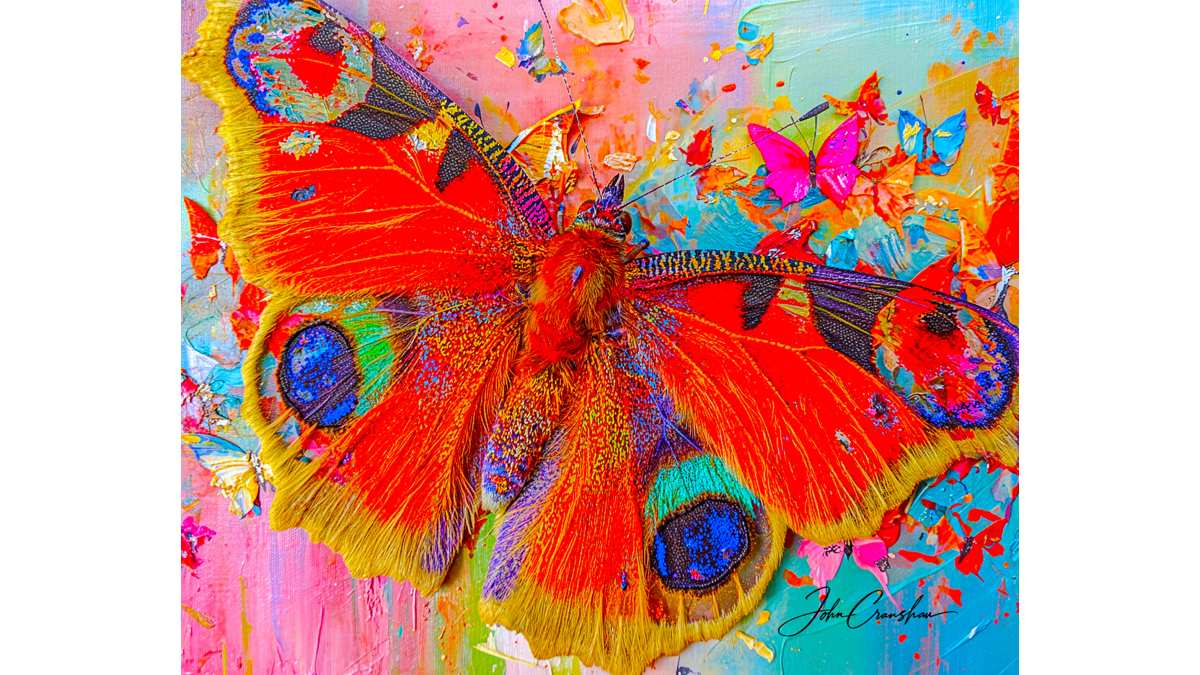 The Color of Nature