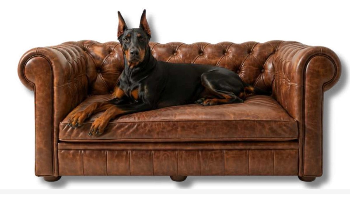 The Duke Chesterfield Dog Bed