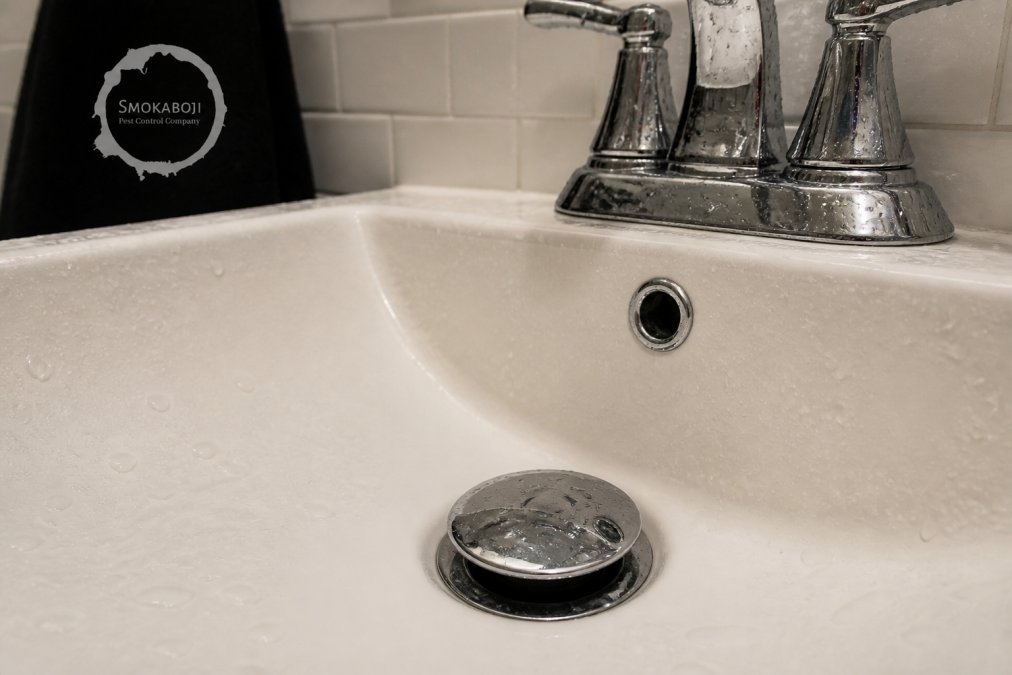 Close-up of bathroom sink drain area with moisture beading on chrome surfaces and tile, showing the damp environment where springtails thrive