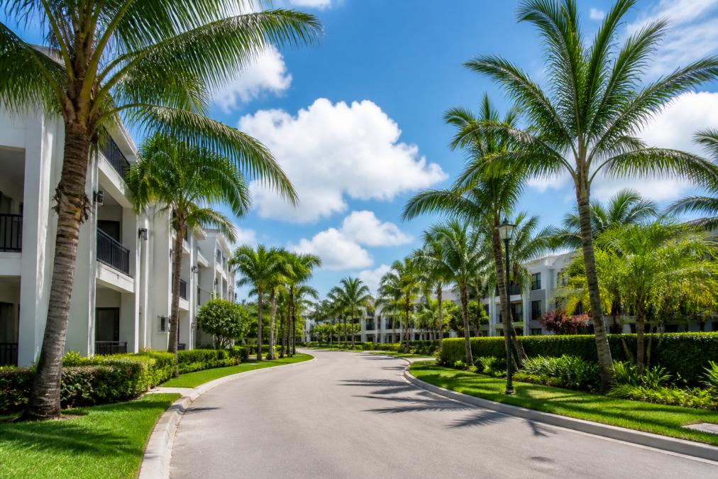 A peaceful residential street in Boca Raton lined with mature palm trees and modern apartment buildings, showing a quiet, well-maintained neighborhood with lush landscaping and greenery under a bright Florida afternoon sky