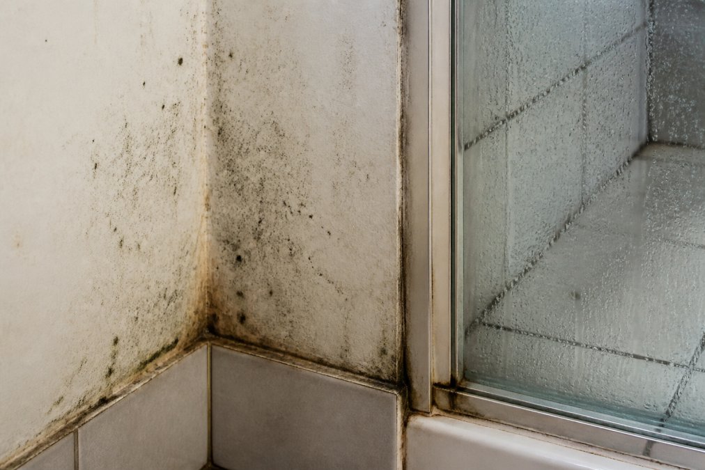 Close-up of bathroom wall showing visible mould growth and water staining in corner near shower enclosure with condensation on tiles