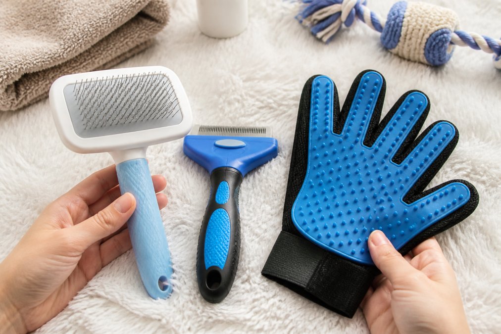 Close-up of grooming tools laid out on a soft surface, including slicker brush, de-shedding tool, and grooming gloves being held by hands in natural lighting