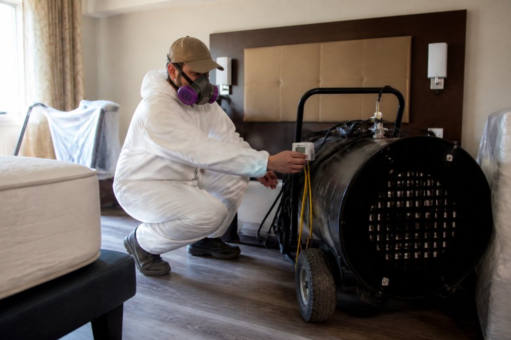 Professional pest control technician in protective gear monitoring thermal remediation equipment with temperature sensors in a hotel room, equipment visible and room prepared for treatment with furniture moved