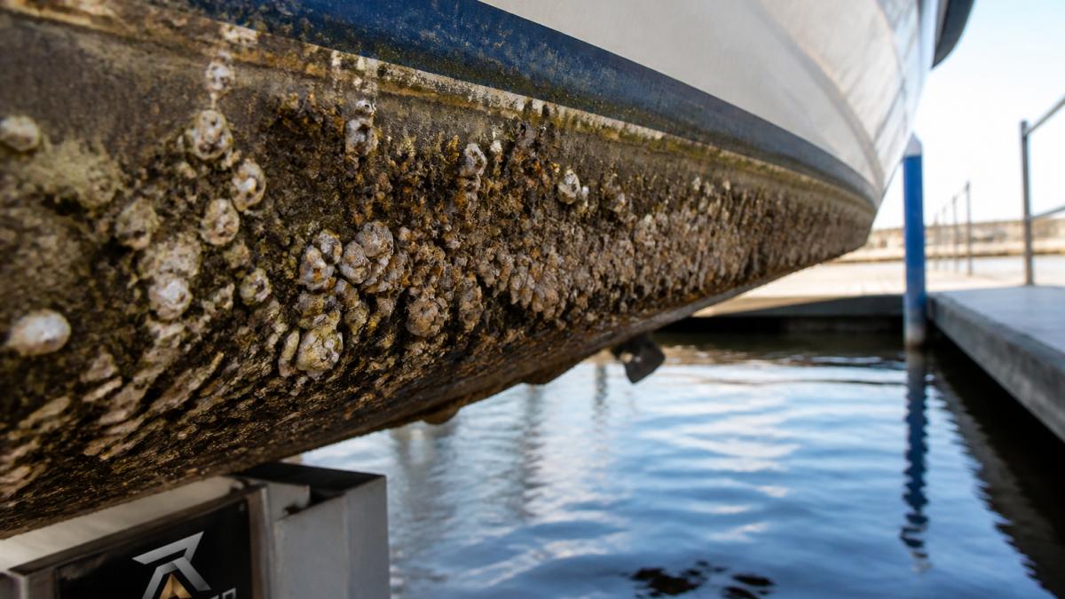 Close-up of boat hull showing barnacle and marine growth buildup along the waterline with water and dock visible in the background