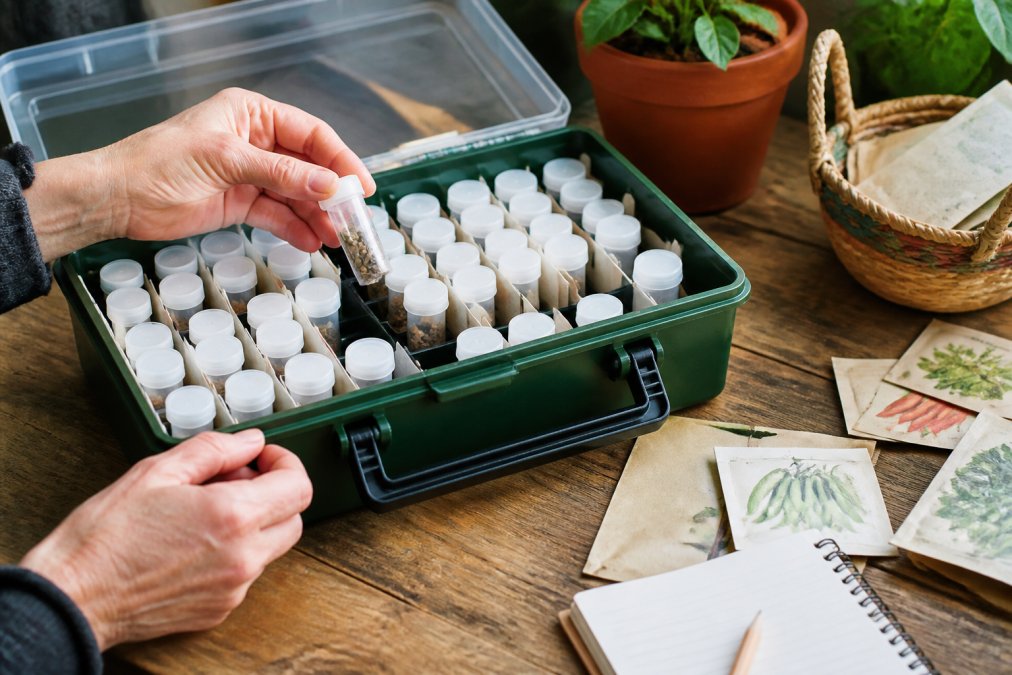A gardener's hands organizing labeled seed vials inside a sturdy storage box on a wooden table, with seed packets and a notebook nearby