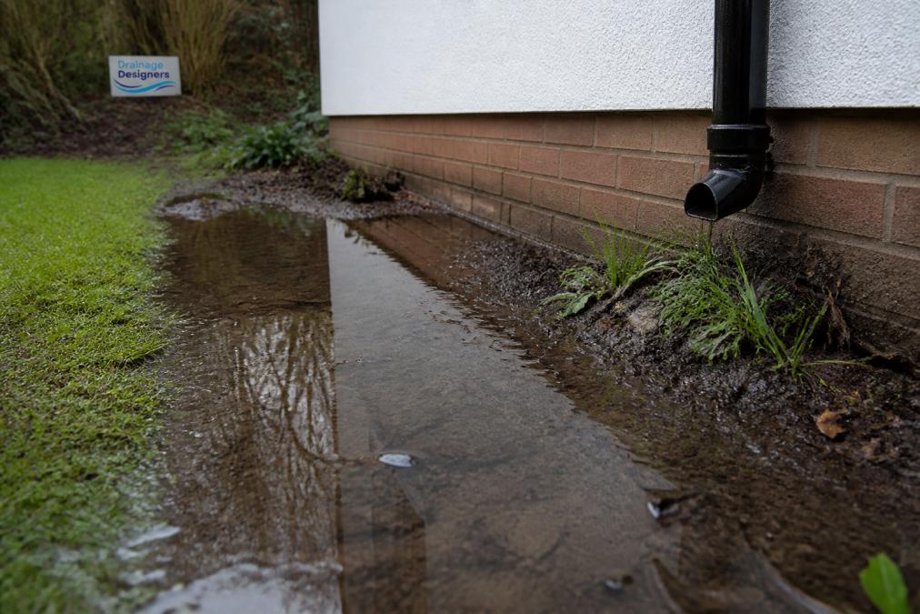 Close-up of standing water pooling in a garden area near property foundation, showing wet soil and visible moisture damage with grass and surrounding vegetation