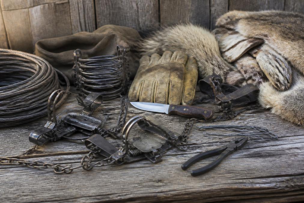 Trapping Supplies for Expert Hunters: Complete Gear Guide