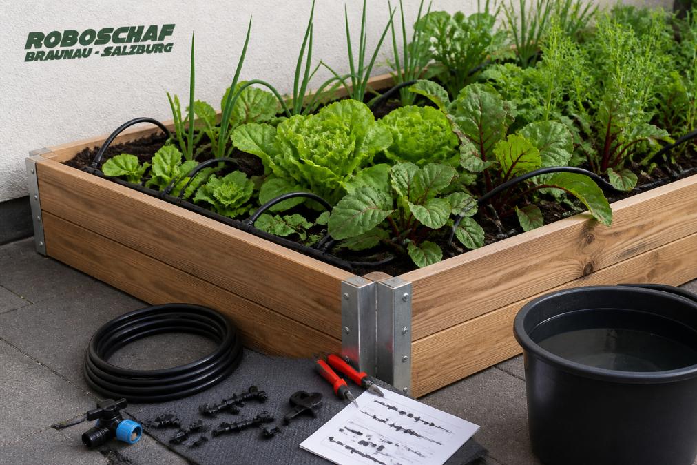 Tröpfchenbewässerung für Hochbeete selber bauen: Anleitung