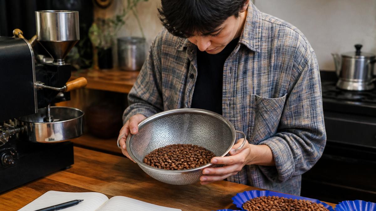 A home coffee roaster in a kitchen holding a batch of freshly roasted beans in a metal colander, examining bean color under bright light with a notebook of roast logs beside them
