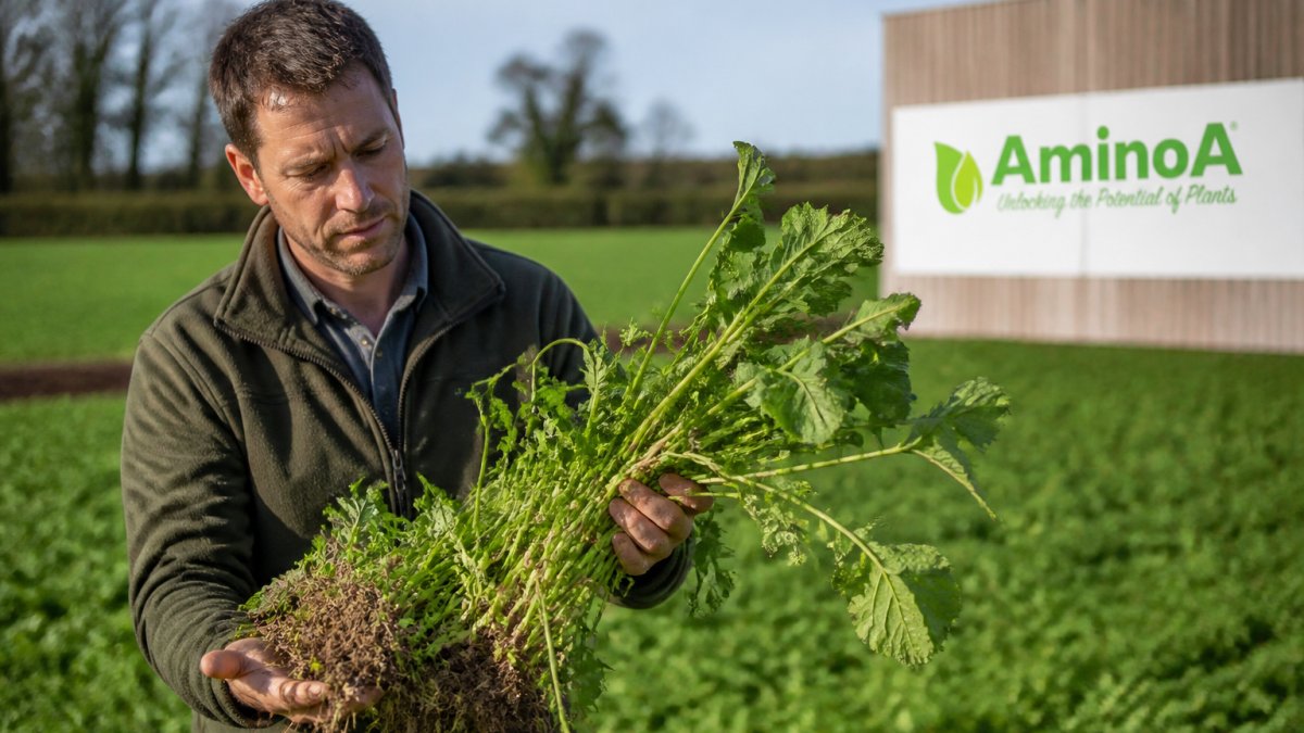 Using Cover Crops to Fix Nitrogen in Farming