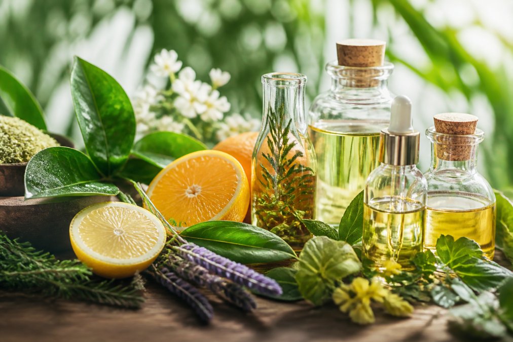 Professional illustration showing Close for vegan skincare