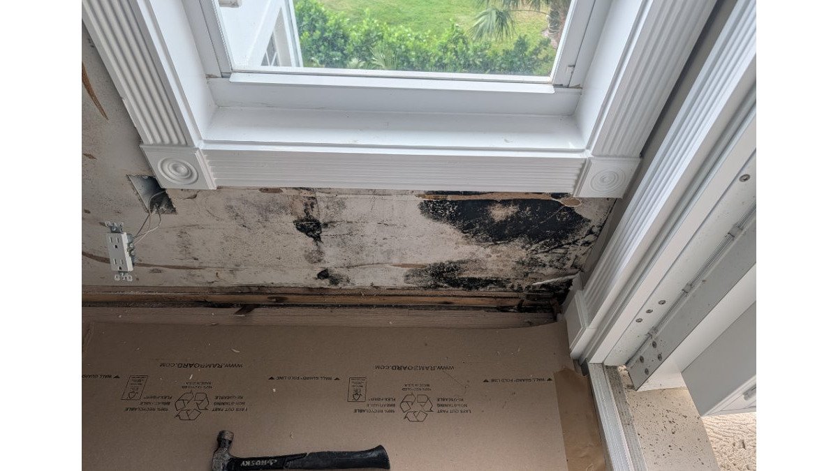 Mold Remediation in Sebastian FL: What to Expect