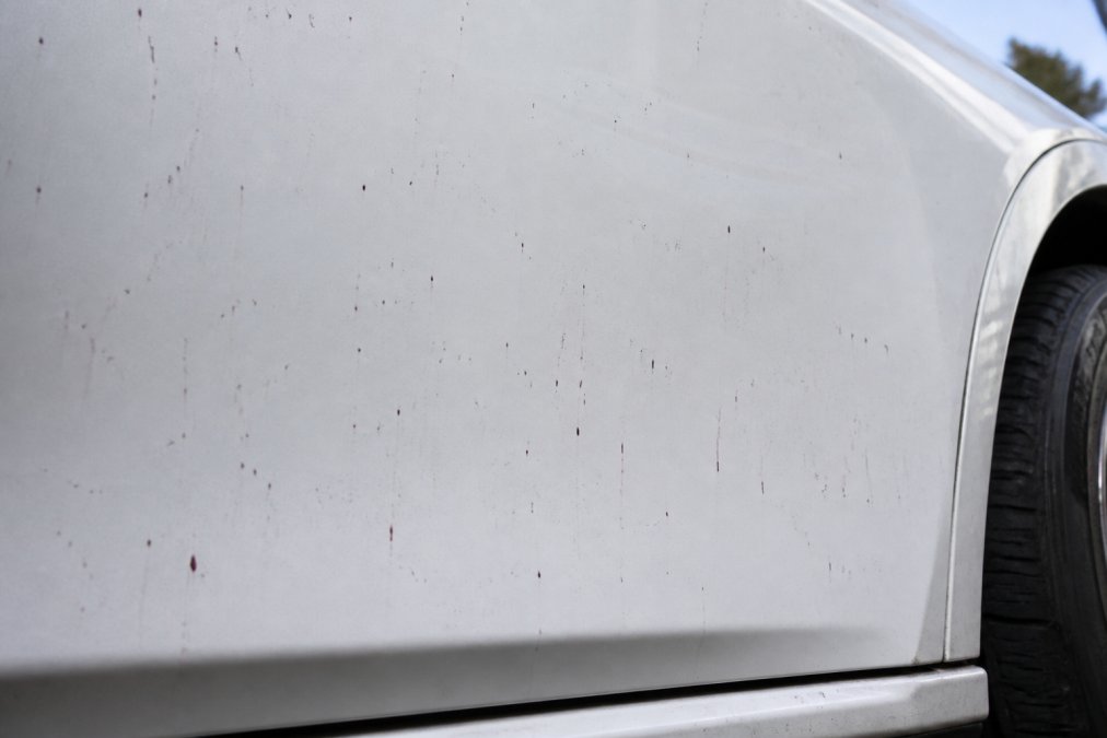 Close-up van witte autolak met zichtbare vliegroest-vervuiling, paarse en bruine vlekken verspreid over het oppervlak, daglicht vanuit zijkant