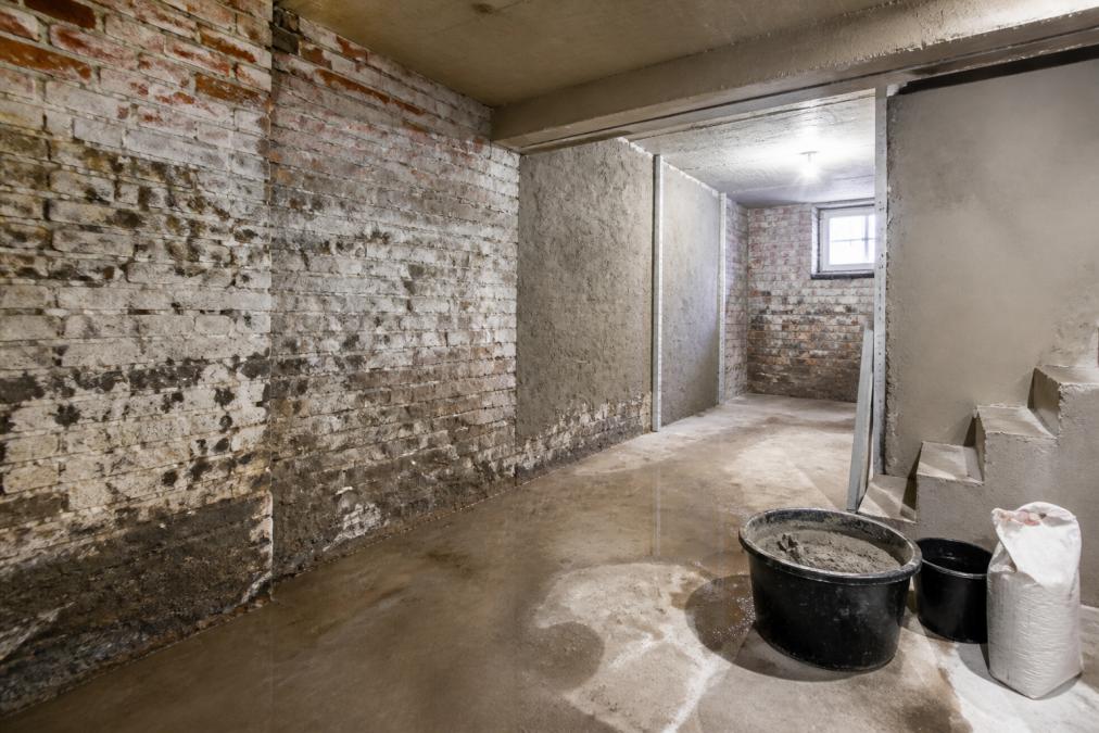 Vochtproblemen bij kelderrenovatie in Antwerpen voorkomen