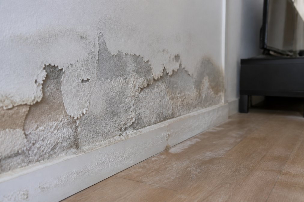 Close-up van vochtplekken en zoutuitslag op plinten en muurwerk in een woonkamer, met zichtbare beschadiging van pleisterwerk en kristalvormingen