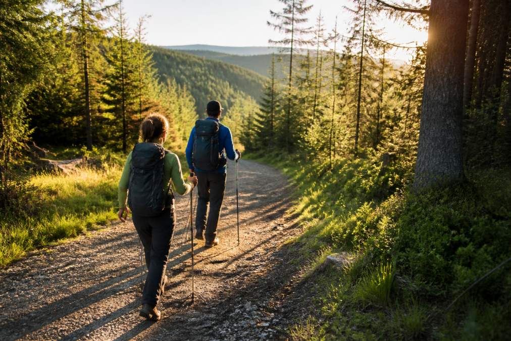 Hátizsákos túrázó egy széles erdei ösvényen a Waldviertelben, zöld dombok és tűlevelű fák között; a reggeli fény átszűrődik a fák között
