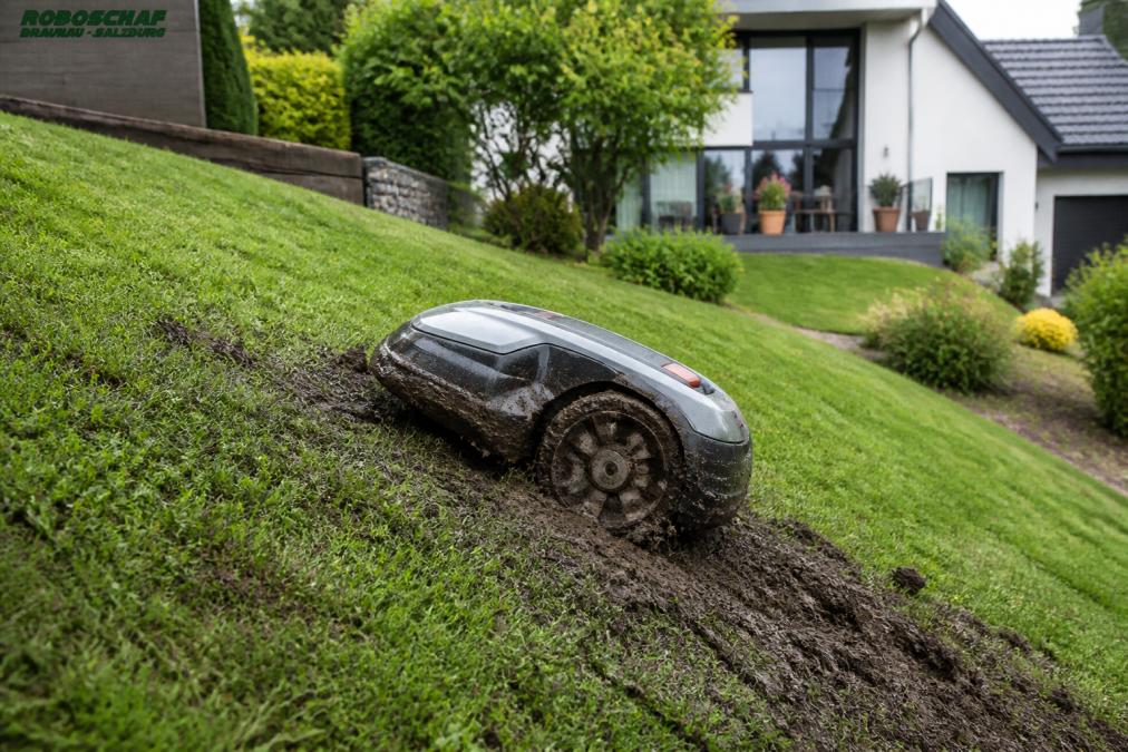 Ein Mähroboter am Hang, dessen Räder auf feuchtem Rasen durchdrehen und Erde aufwirbeln.
