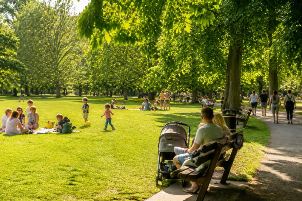 Families enjoying a sunny afternoon in a lush green park with children playing on grass, parents sitting on benches, and walkers strolling along tree-lined paths with dappled sunlight