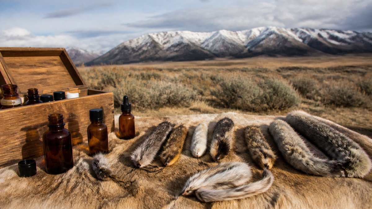 Western Hunting Lures: A Field Guide to Scents