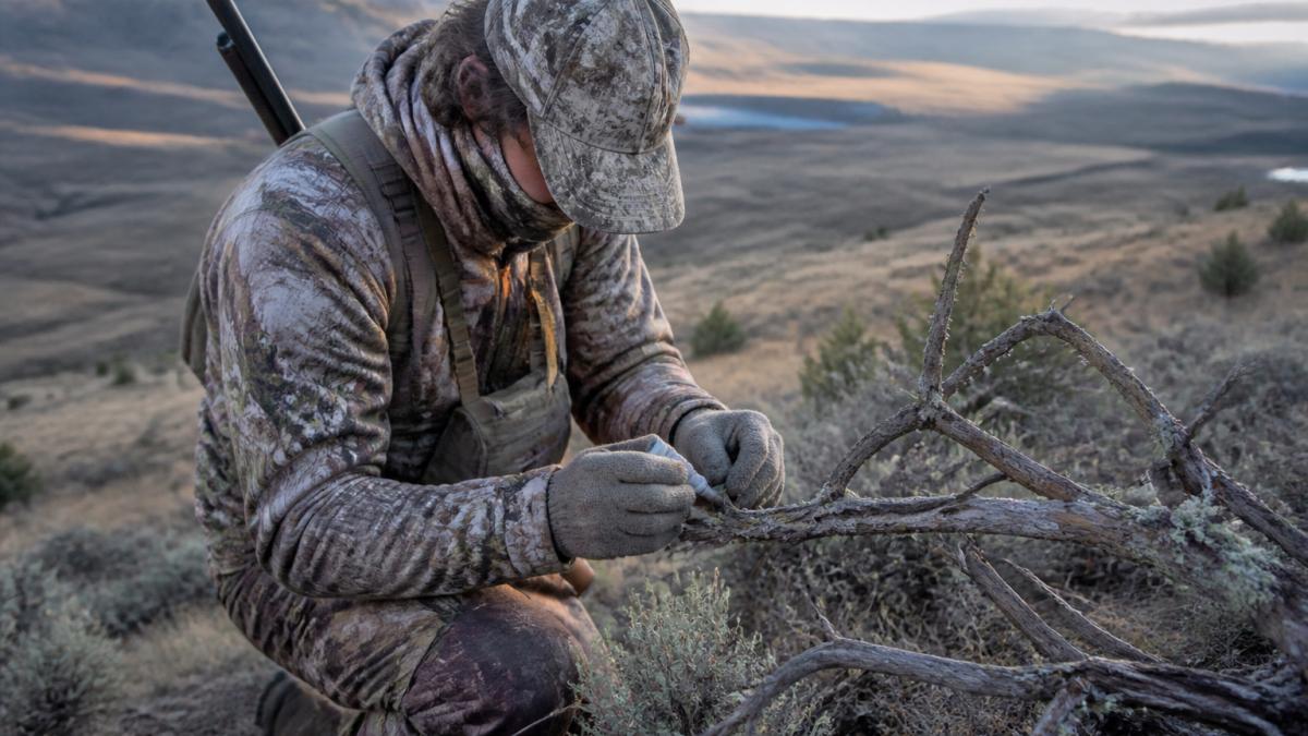 Hunter kneeling in sagebrush applying western hunting lures to a branch at dawn