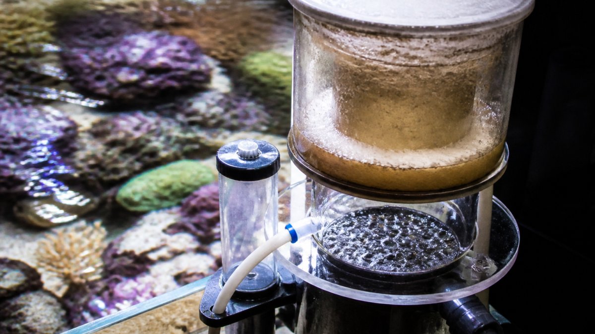 Close-up of a protein skimmer installed in an established reef aquarium with visible foam collection cup and colorful corals in the background, showing the honeycomb bubble plate producing fine bubbles