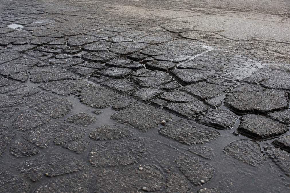 Close-up view of severe alligator cracking pattern on asphalt surface with moisture pooling in the fractured areas, showing interconnected dark fissures under natural daylight