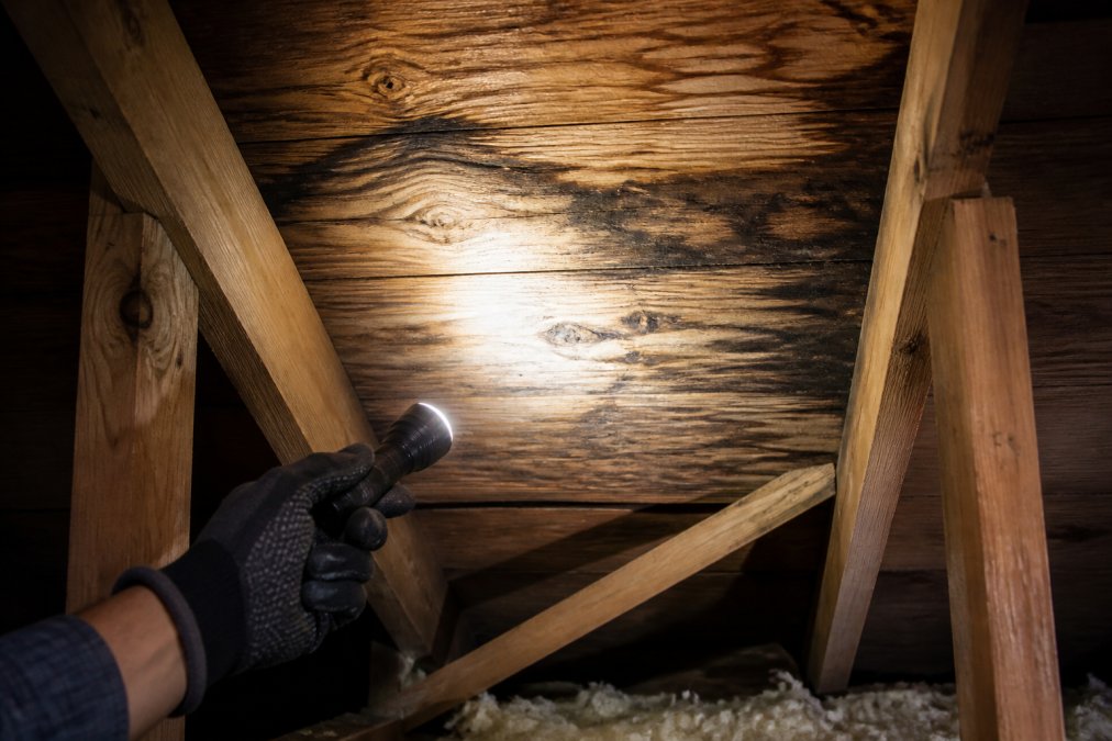 A homeowner's gloved hand pointing a flashlight at dark, stained and slightly warped wooden roof decking inside an attic, revealing water damage and early rot