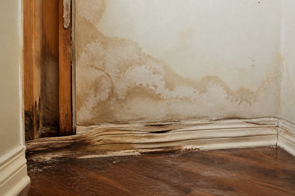 Close-up of water-stained drywall with discolored patches, warped baseboards, and visible moisture damage on residential wall framing
