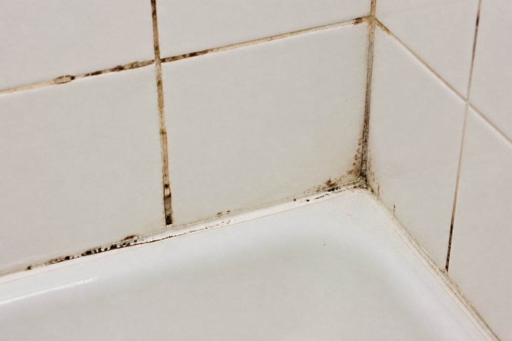 Close-up of dark, stained grout lines between white bathroom tiles, with visible discoloration and mildew spots near the caulk line