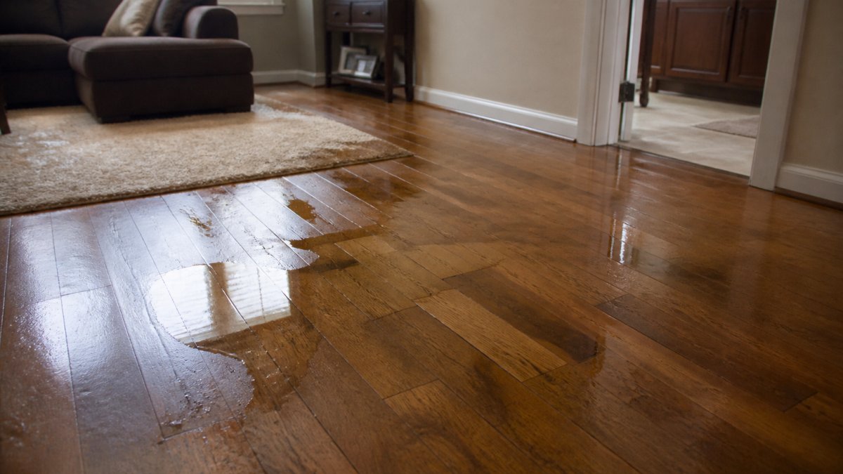 Water pooling on hardwood flooring with visible water stains spreading across a residential room's surface, showing the rapid spread of water damage