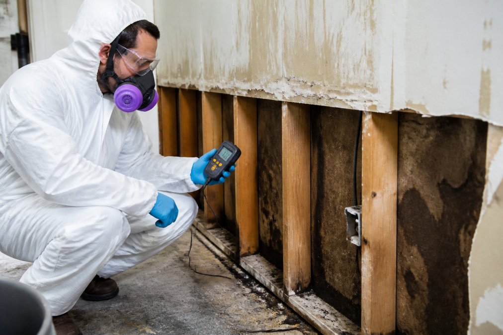 IICRC-certified restoration technician in full protective gear holding moisture meter while inspecting water-damaged drywall and subflooring in residential basement with professional lighting