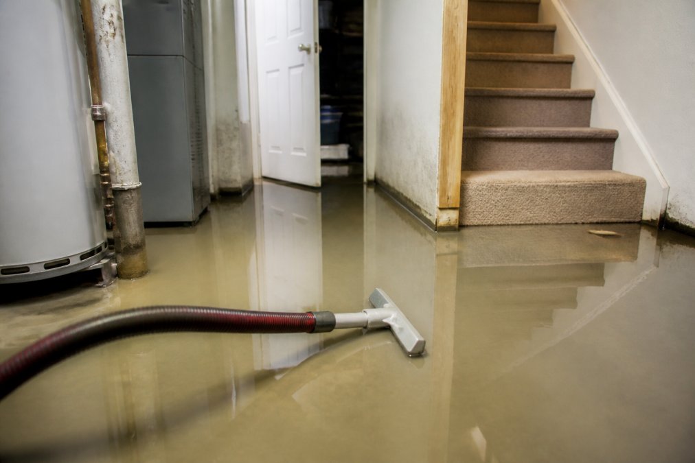 What to Do During Basement Flooding: Step-by-Step