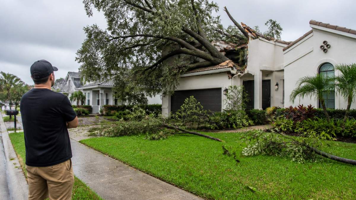 Homeowner standing on a sidewalk watching as a tree falls on house roofline after a severe Florida storm