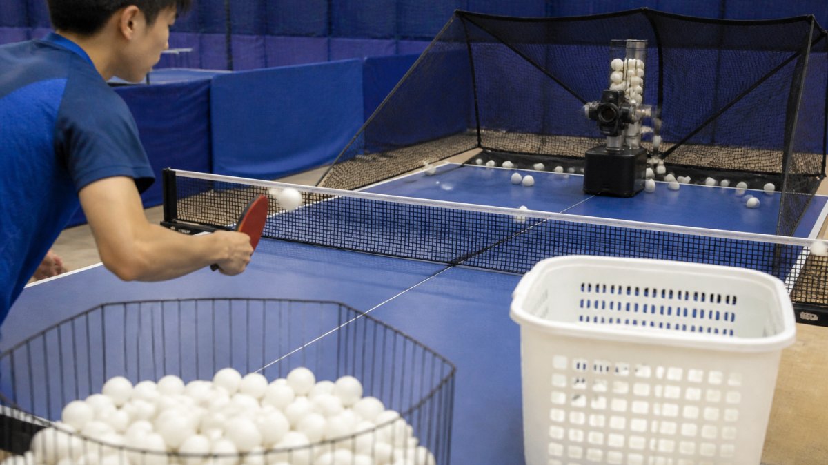 What to Look for in a Portable Ball Collector
