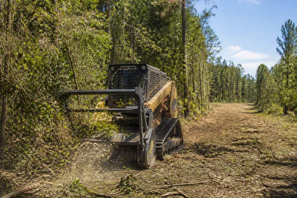 A forestry mulching machine cutting thick brush and small trees on a rural property, with a cleared strip of land visible behind it and mature trees still standing at the edge