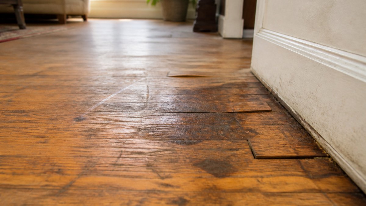Close-up of old hardwood floor with visible scratches, dark water stains, and a few loose boards near a wall baseboard in a naturally lit living room