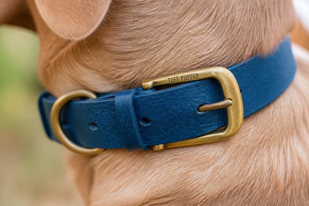 Close-up of heavy-duty dog collar showing rust-resistant metal buckle, reinforced stitching detail, and thick ballistic polymer webbing texture with a dog's neck in soft focus