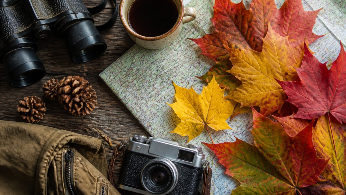Where to See Fall Foliage Nearby: 7 Great Autumn Trips