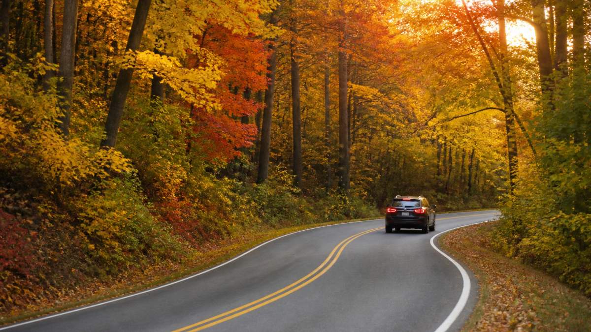 A winding two-lane backroad lined with colorful autumn trees, a car driving through the curve, golden and red leaves catching afternoon sunlight