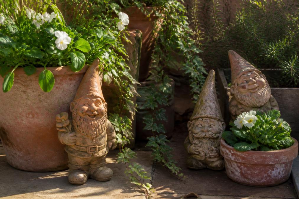 A sunny patio corner with weathered terracotta garden gnomes positioned among potted plants and trailing ivy, with morning light casting shadows across the weathered surfaces