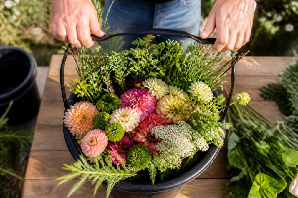 Overhead view of a freshly harvested flower bucket filled with mixed seasonal blooms, vibrant foliage, and cut stems arranged for transport, with hands holding the bucket handle in morning sunlight on a farm workbench