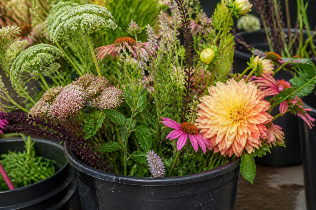 Close-up of fresh cut flowers in a wholesale bucket with water droplets, showing varied stem types and farmer's choice arrangement in natural morning light