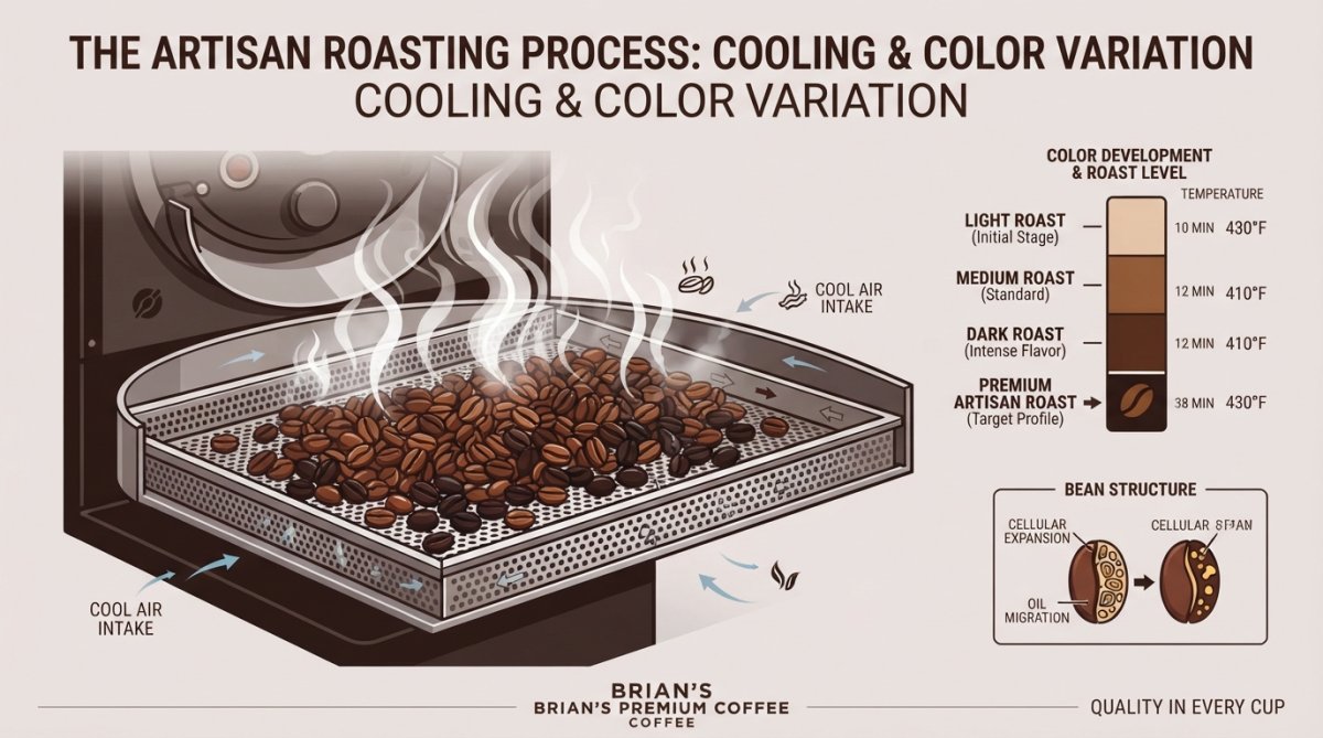 Professional illustration showing artisan coffee tastes better