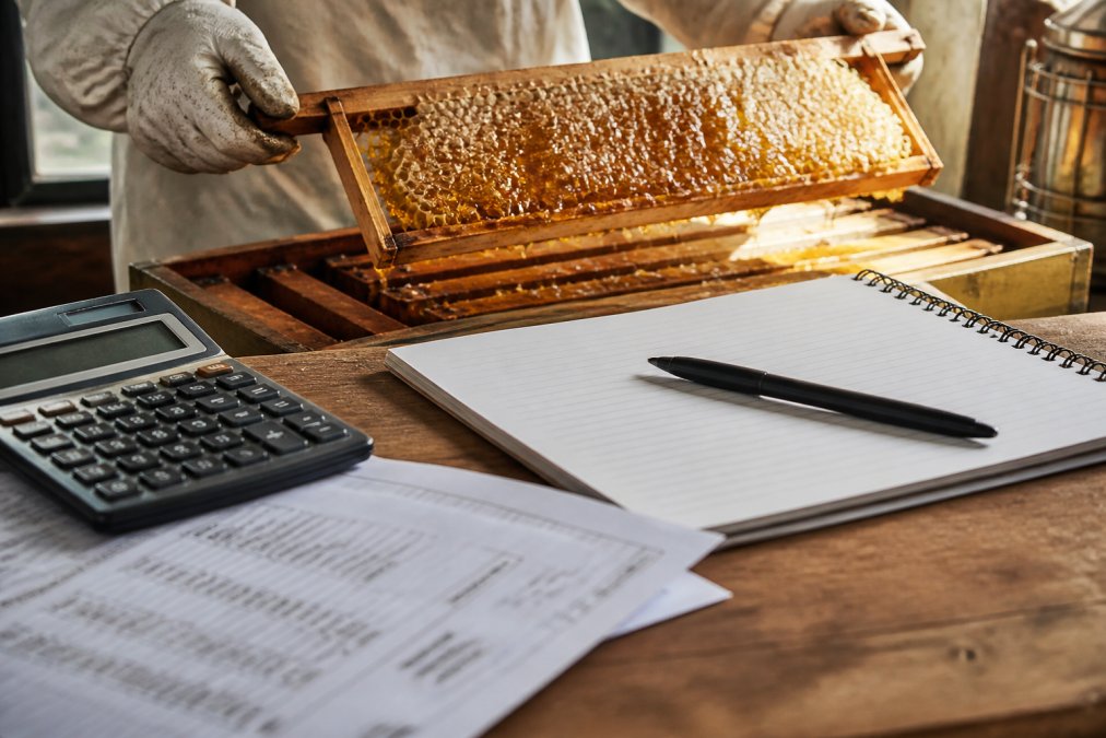 Close-up of honeycomb frames with golden honey dripping from cells, beekeeper's hands in protective gloves holding a frame in bright natural sunlight through an apiary window