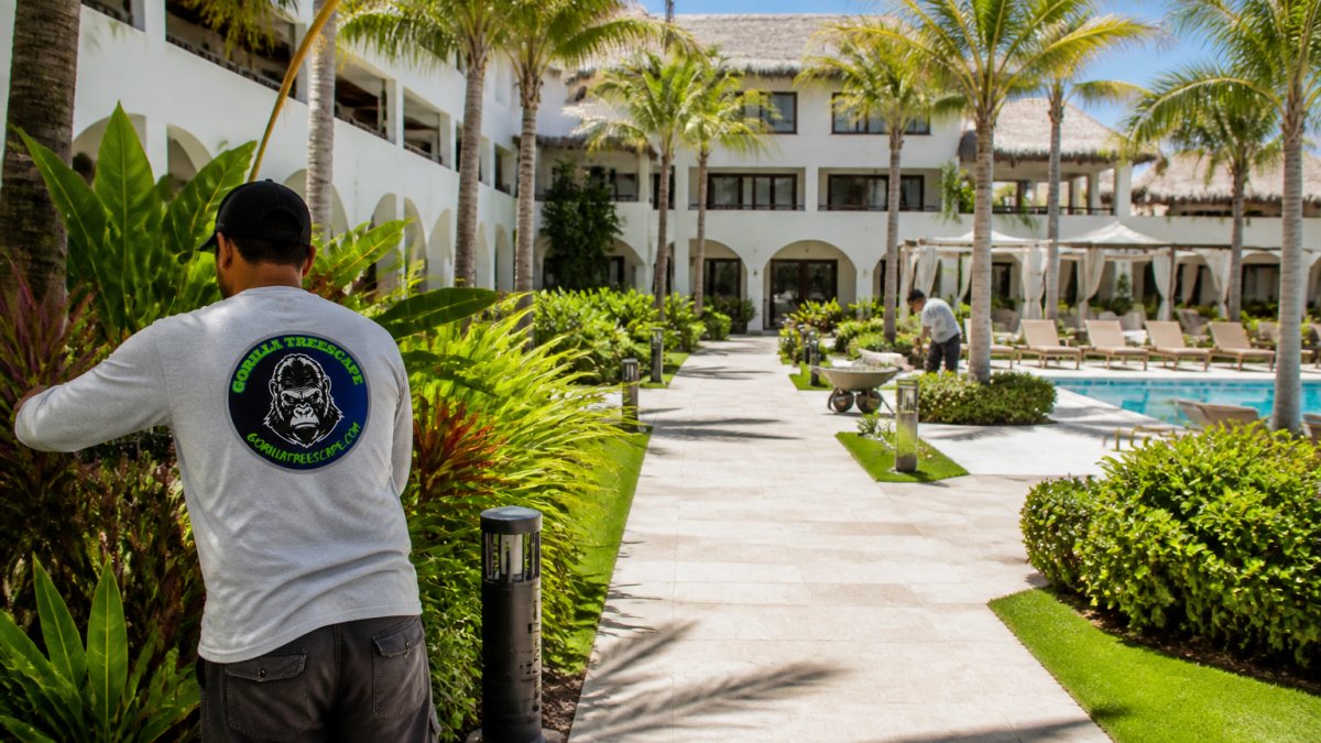 Why Commercial Landscaping Matters for Hotels