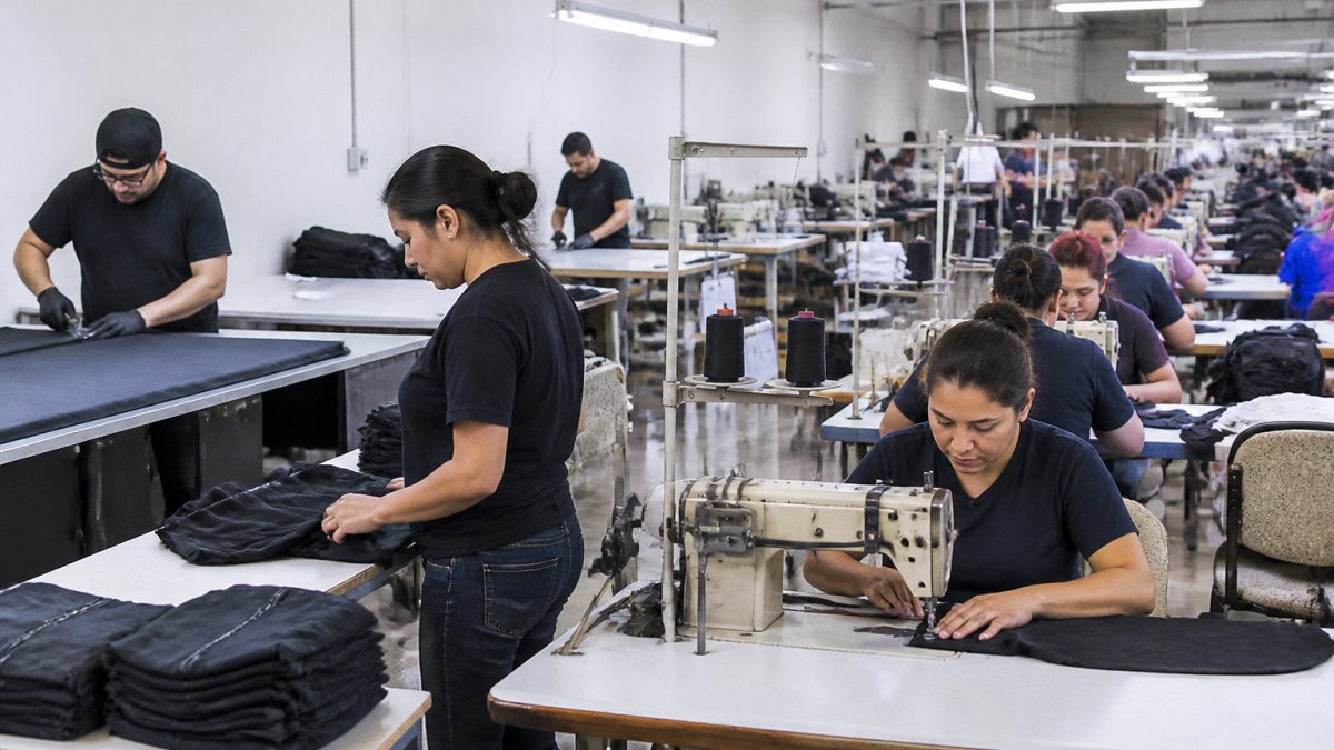 Professional garment production floor showing workers cutting fabric at cutting tables, seamstresses sewing seams on industrial machines, and quality inspectors examining finished apparel pieces at inspection stations with bright overhead lighting