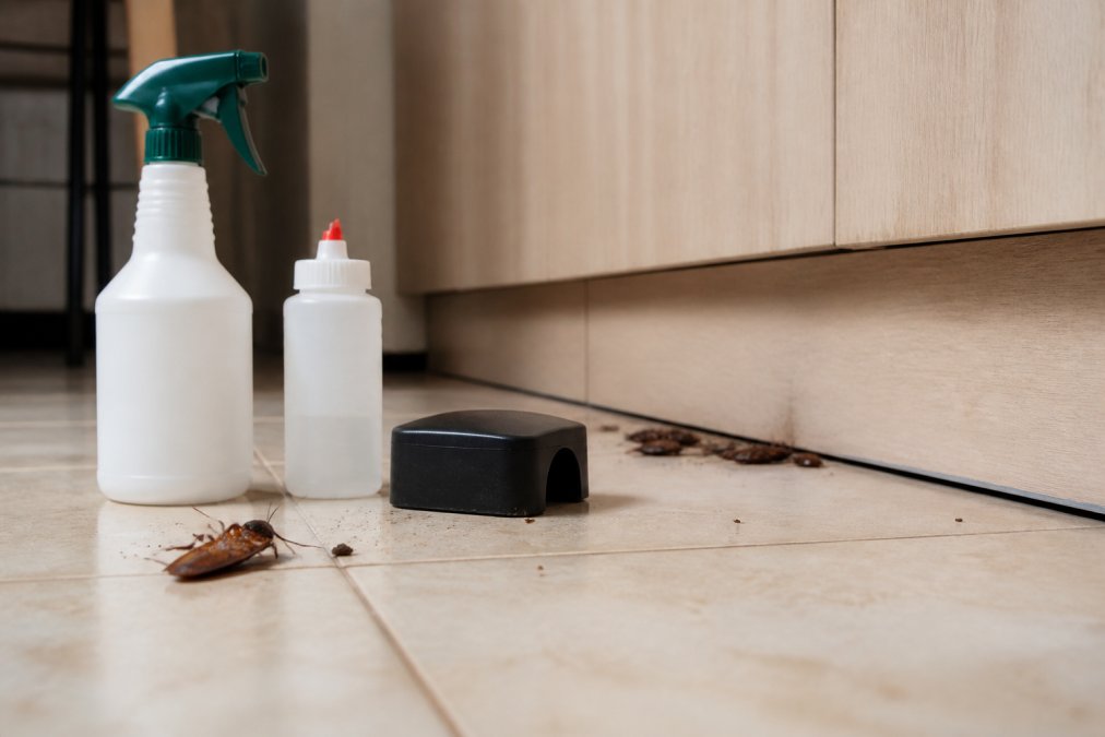Why DIY Pest Control Fails Repeatedly