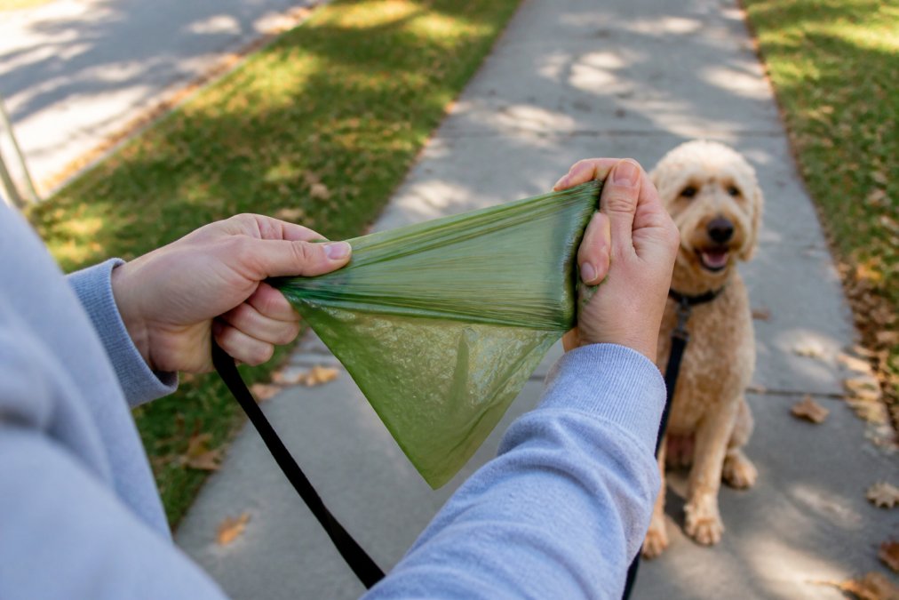 A person stretching a dog waste bag to ensure the poop bags tear only when intended while on a sidewalk walk.