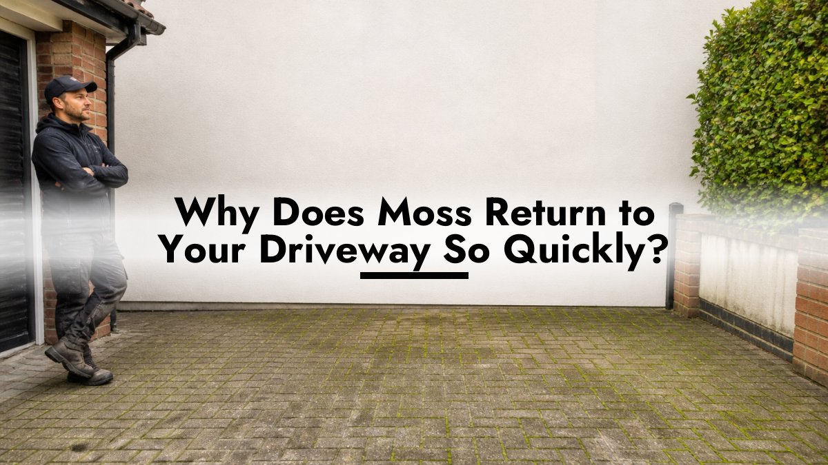 Why Does Moss Return to Your Driveway So Quickly?
