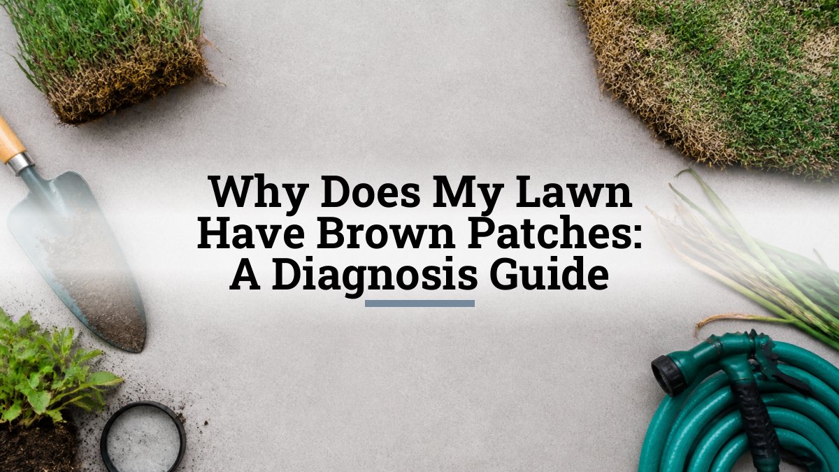 Why Does My Lawn Have Brown Patches: A Diagnosis Guide
